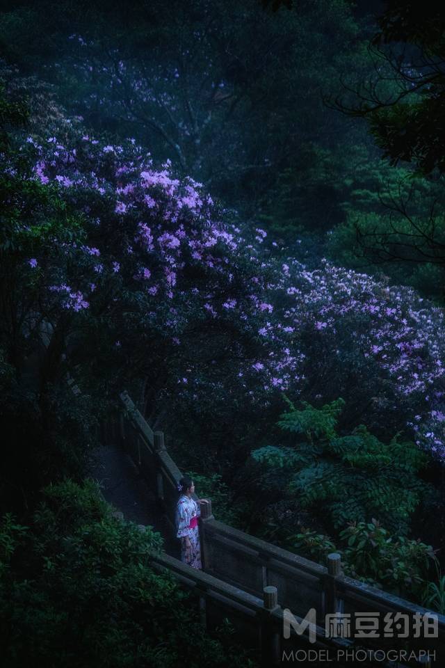 和服模特