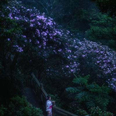 和服模特