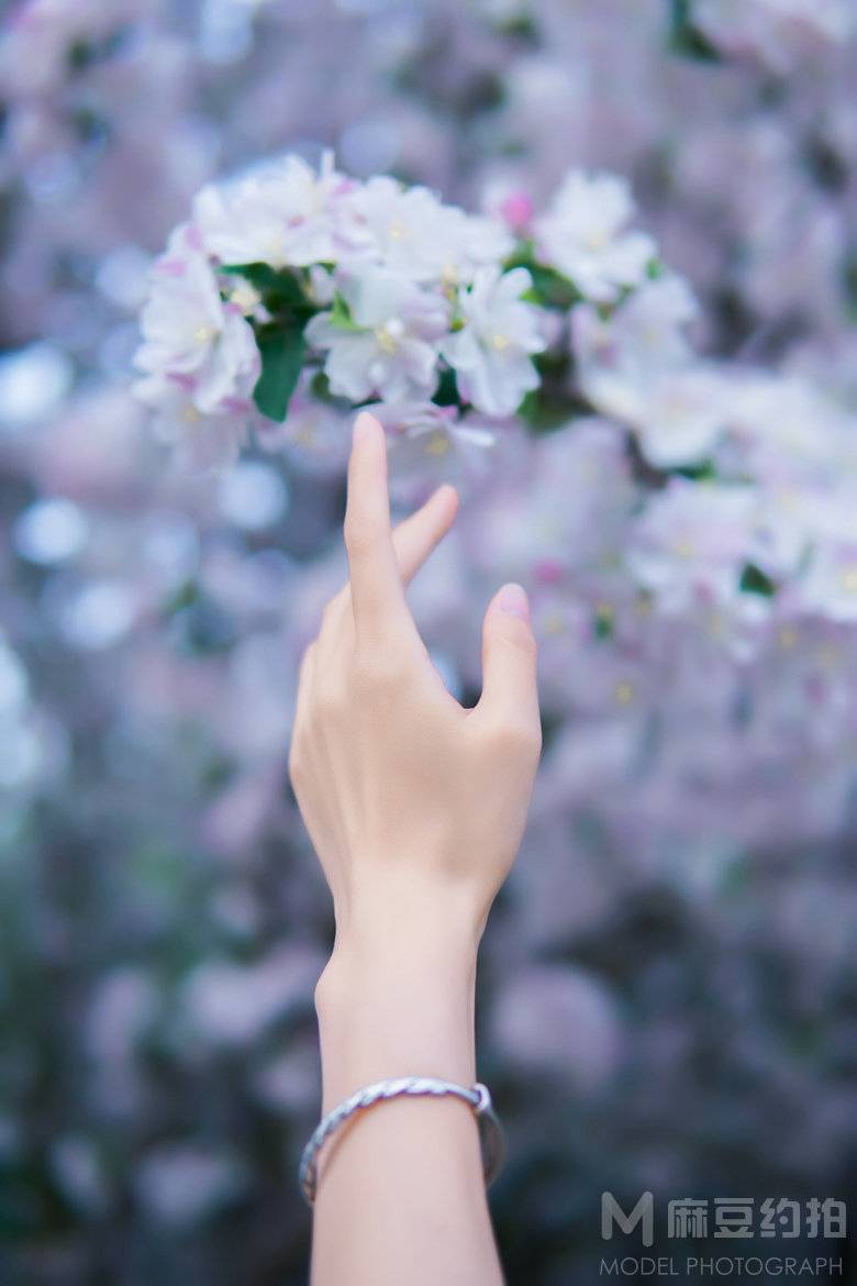 宝丽来模特
