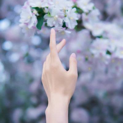 宝丽来模特