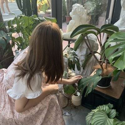韩系模特