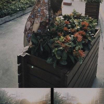 复古模特