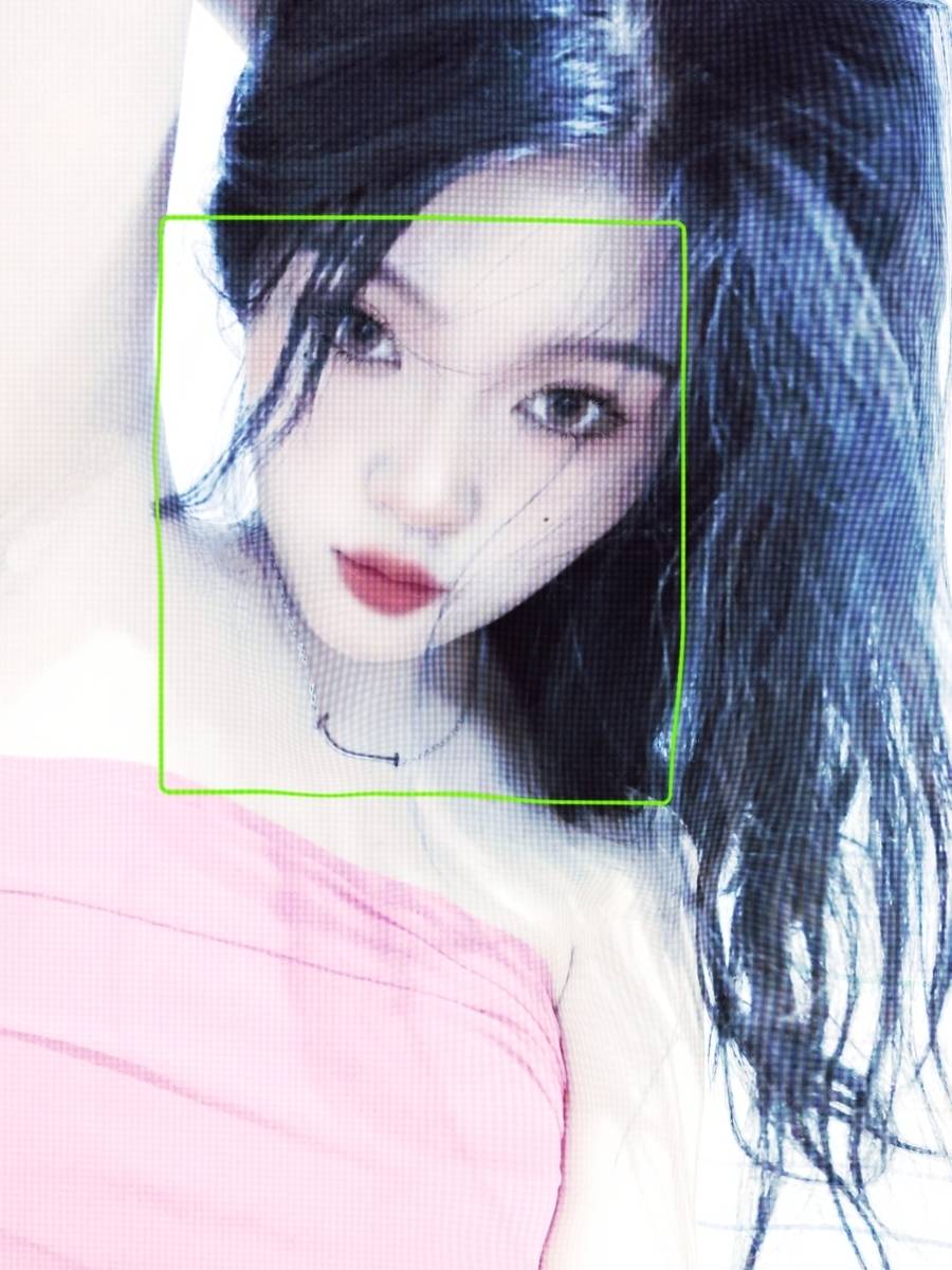 胶片模特