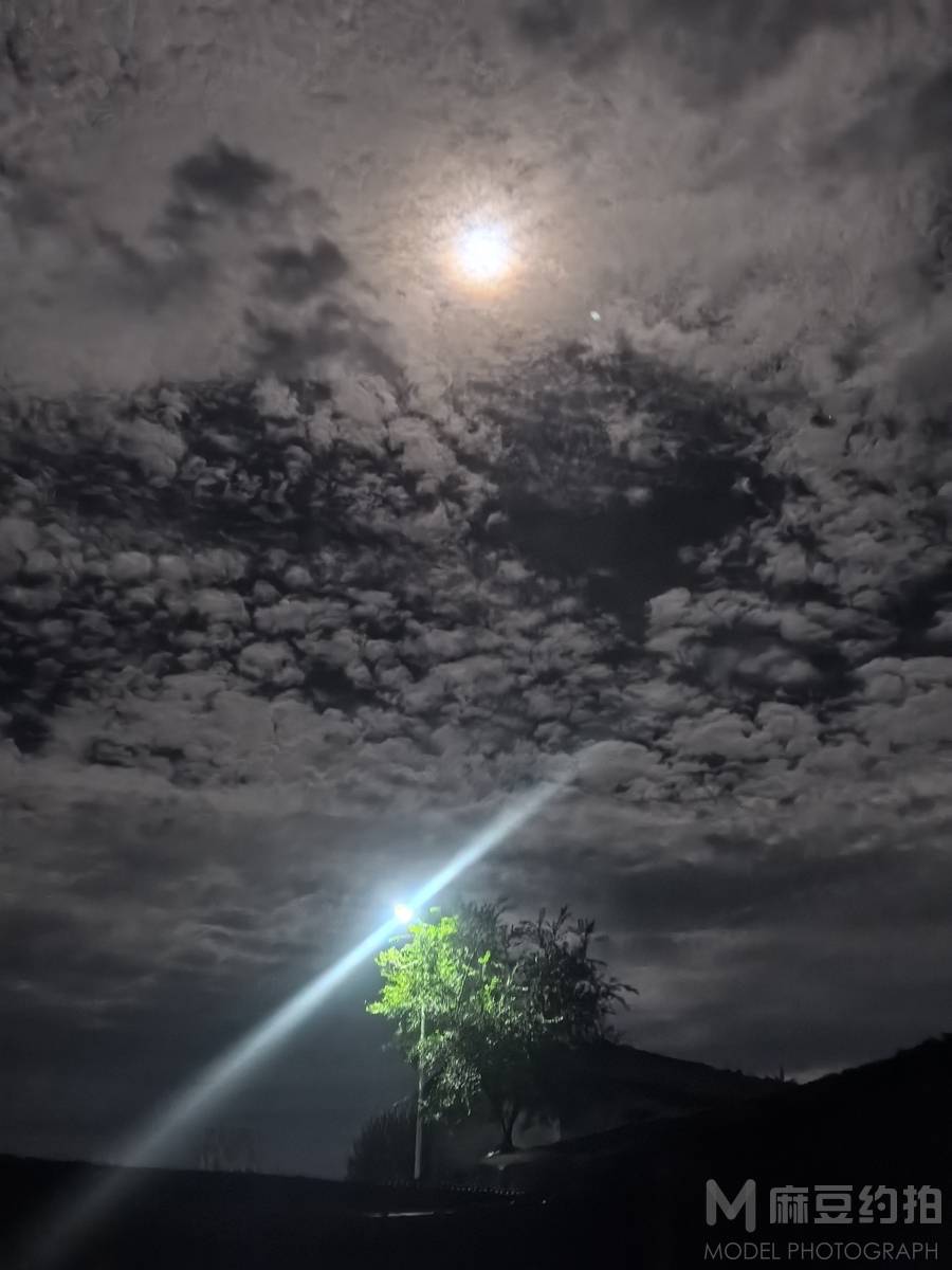 纪实模特