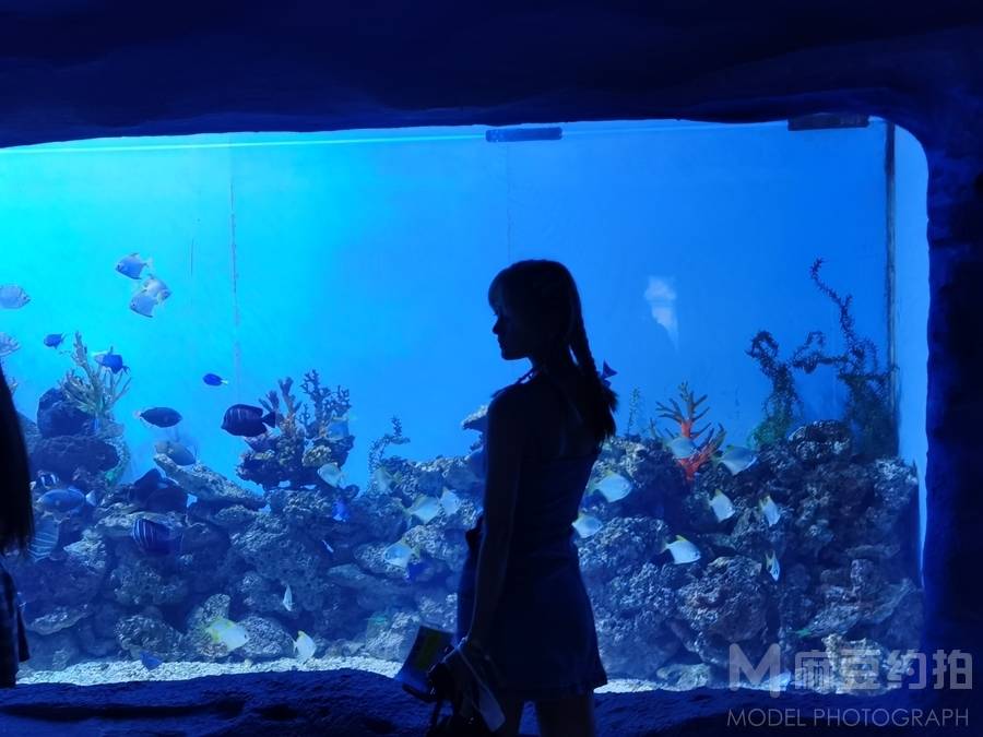 纪实模特