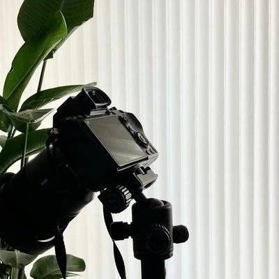 黑白模特