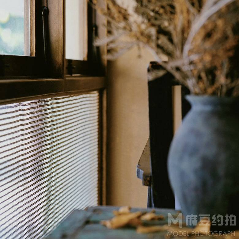 胶片模特