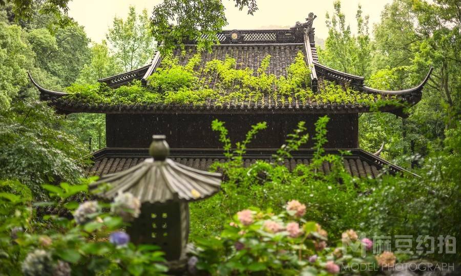 纪实模特