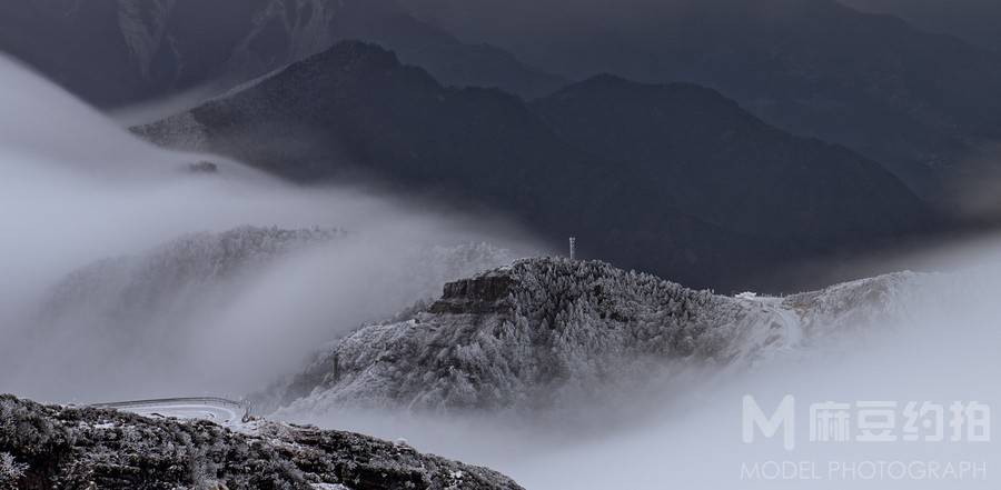 纪实模特