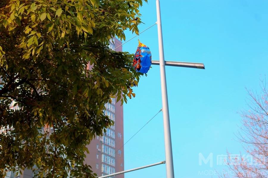 纪实模特
