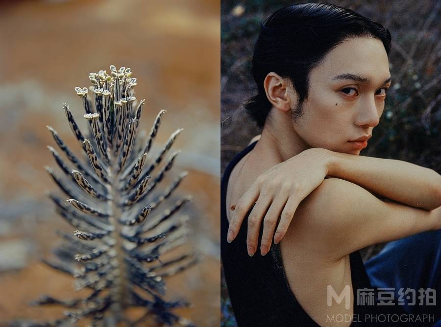 情绪模特