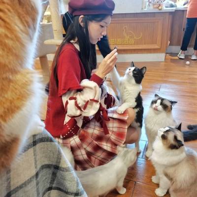 民国模特