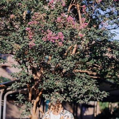 黑白模特