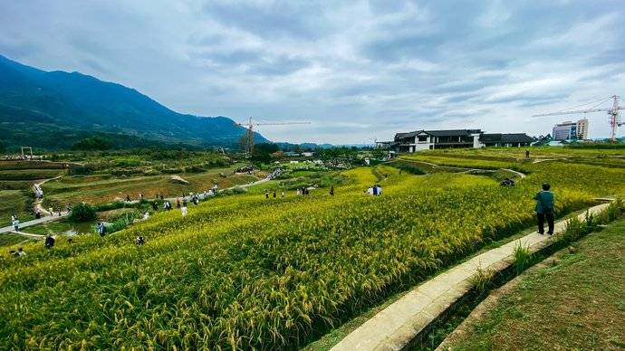 高桥里度假村