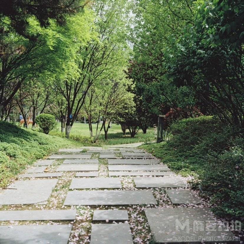 胶片模特
