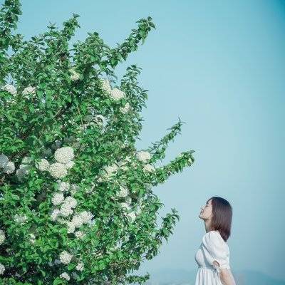 清新模特