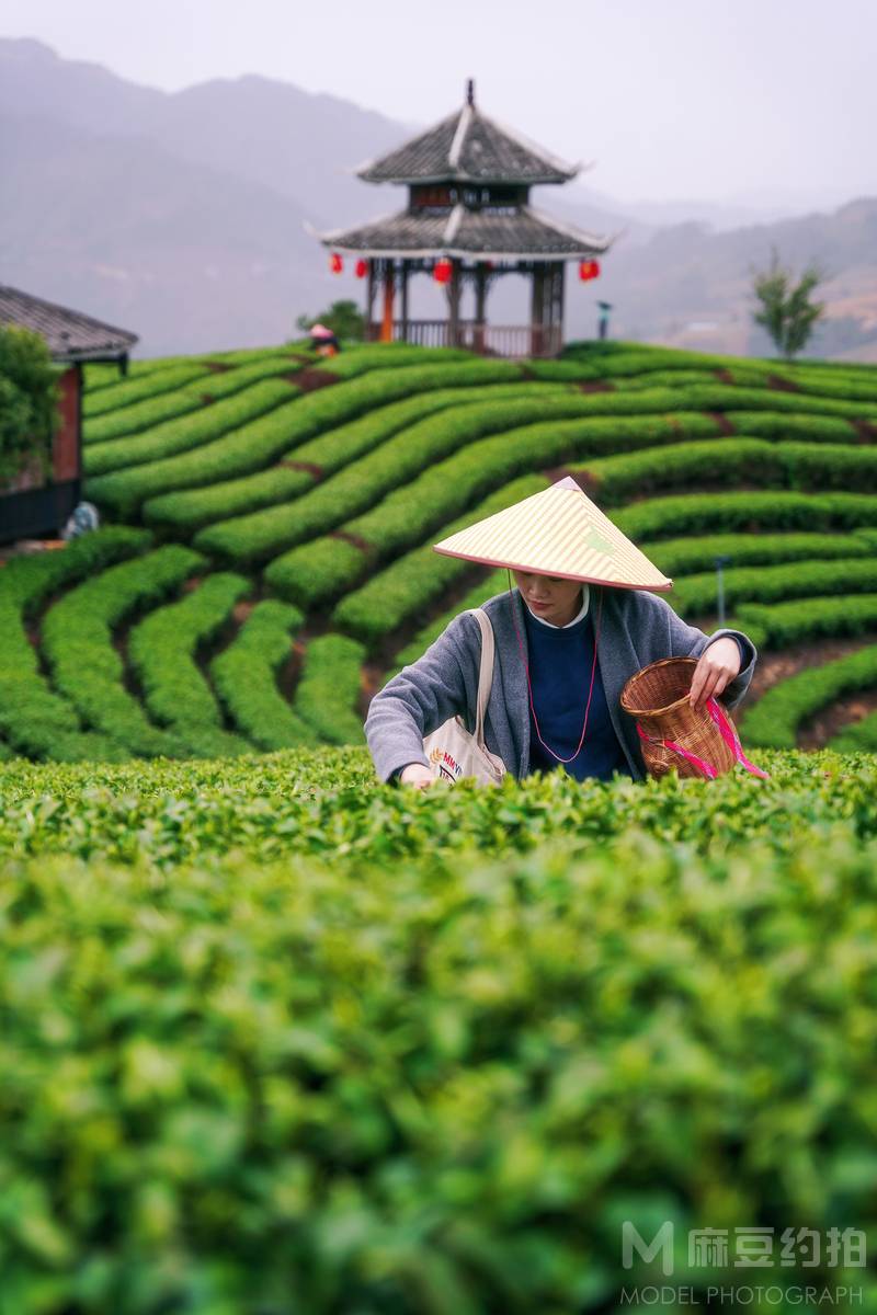 纪实模特