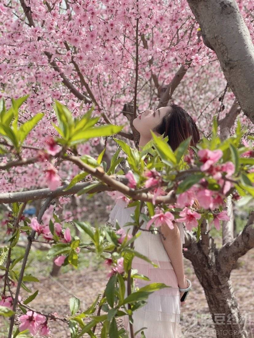 淘宝模特
