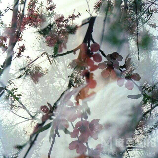 旗袍模特