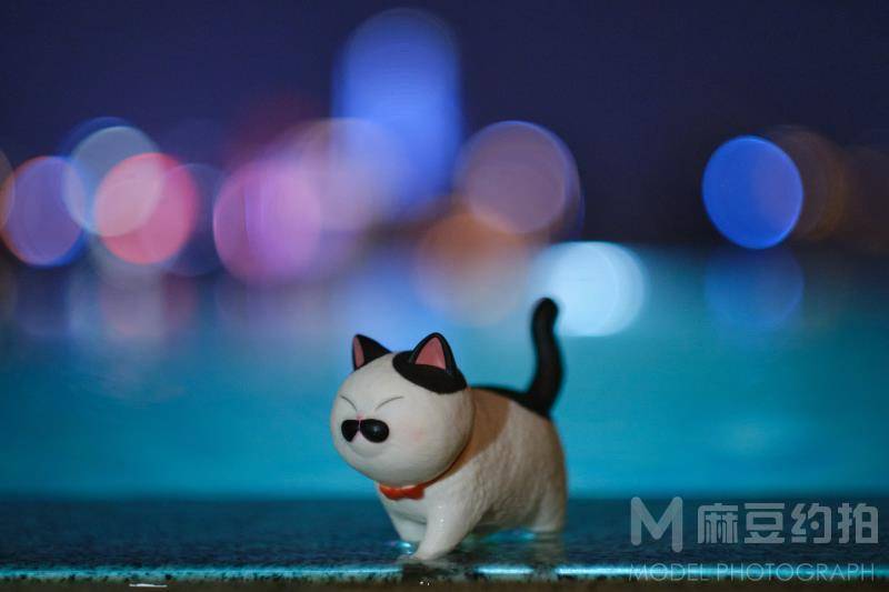 胶片模特