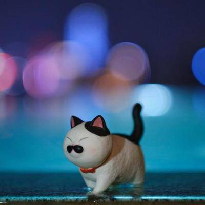 胶片模特