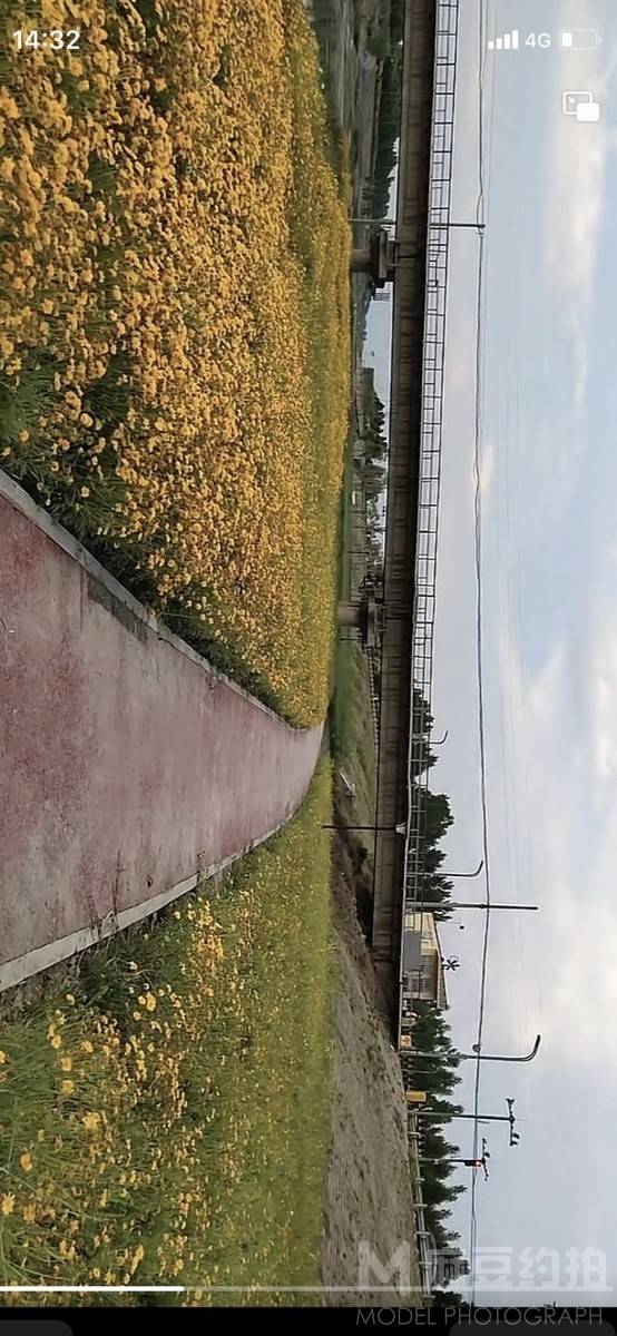 纪实模特