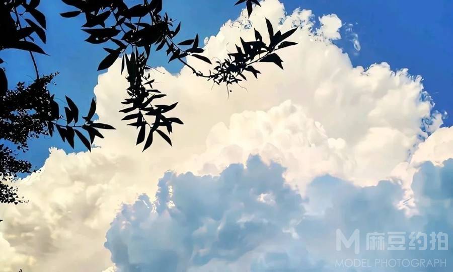 复古模特