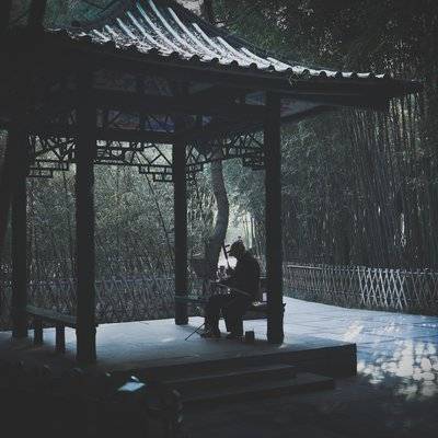 胶片模特