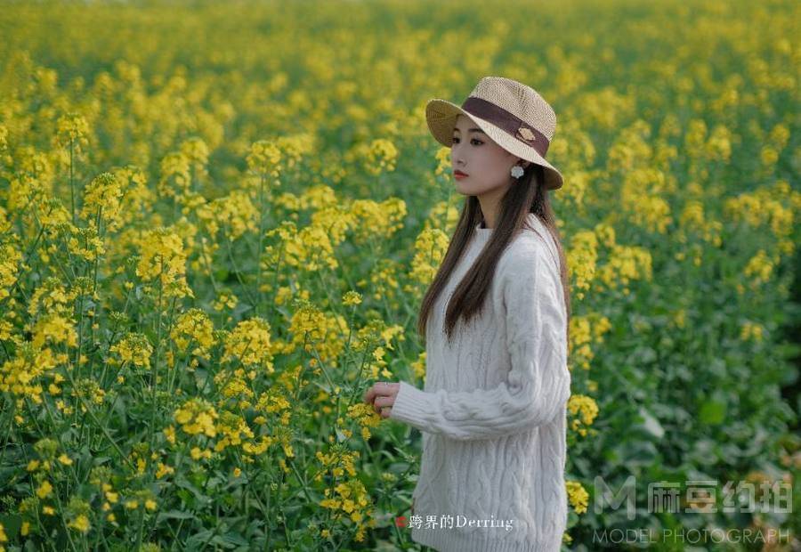 清新模特