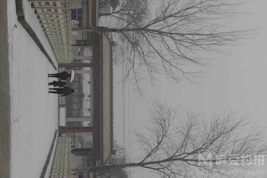 纪实模特