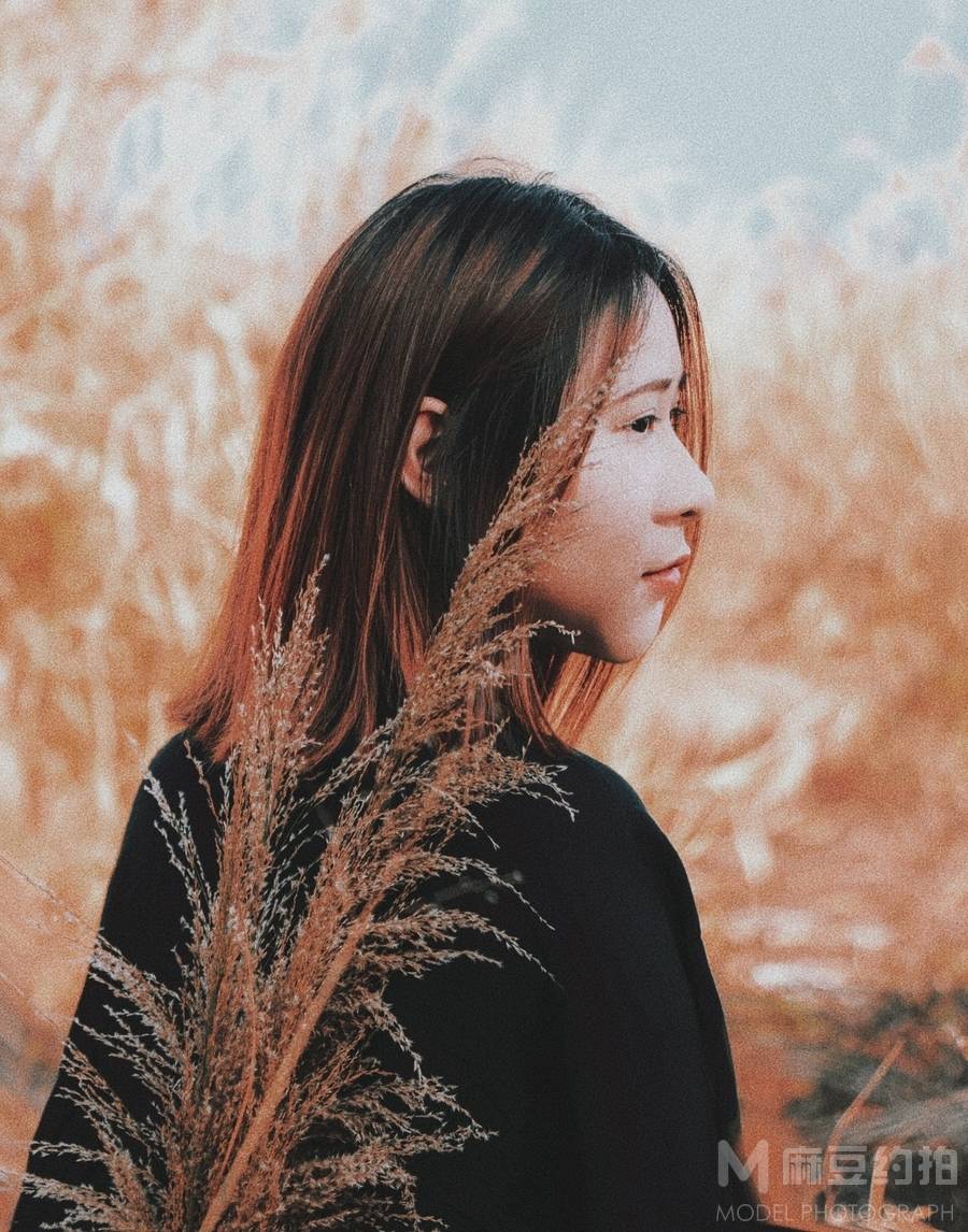 胶片模特