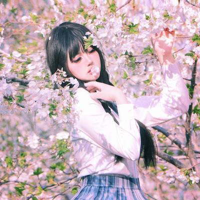 清新模特