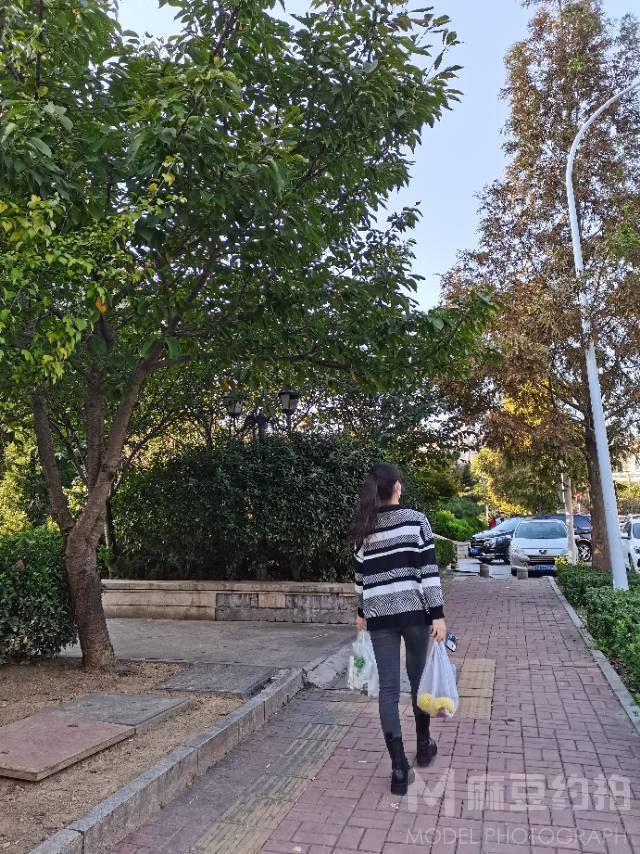 校园模特