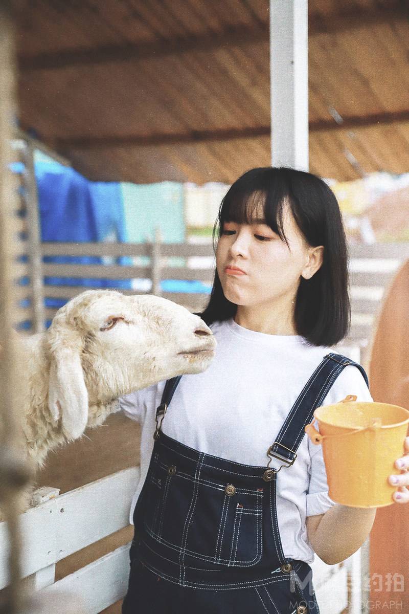 清新模特