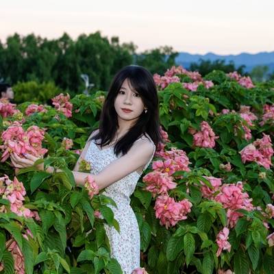 清新模特