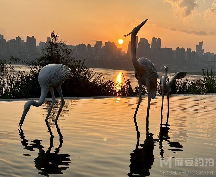 纪实模特