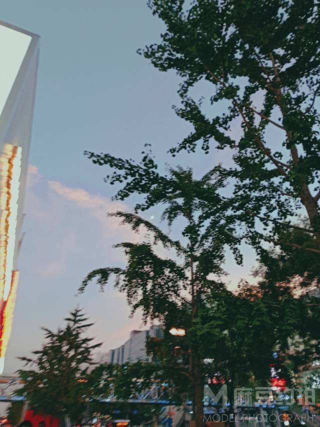 纪实模特