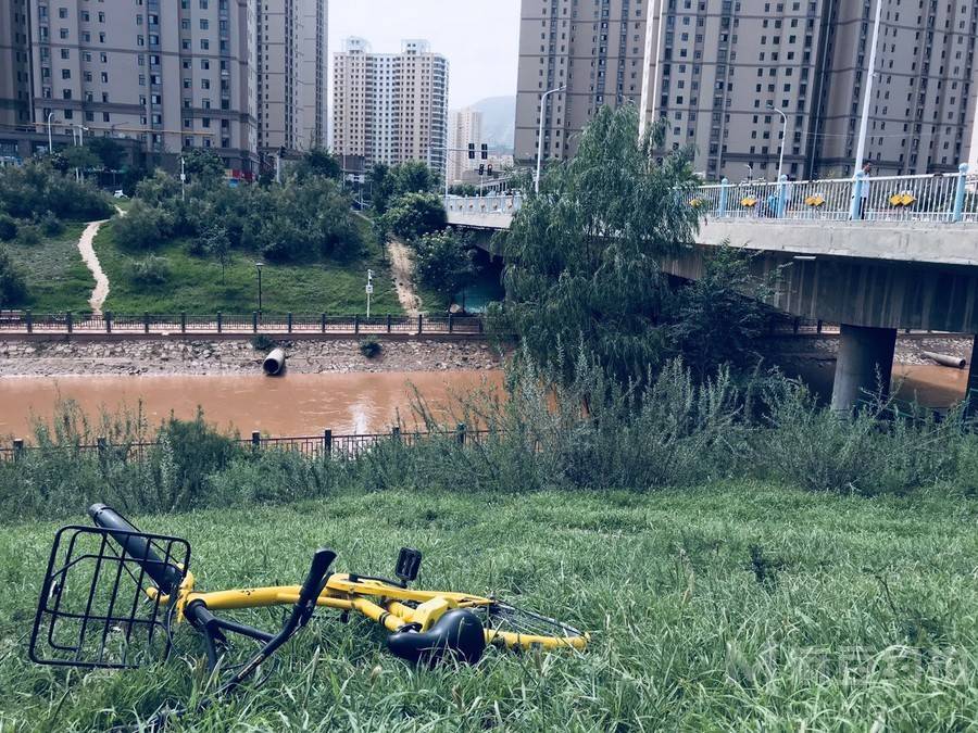 宝丽来模特