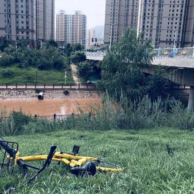 宝丽来模特