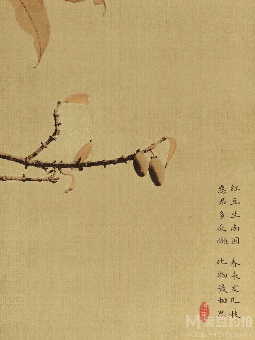 纪实模特