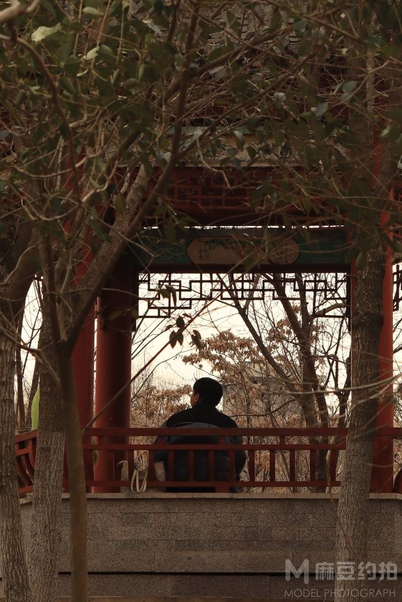 纪实模特