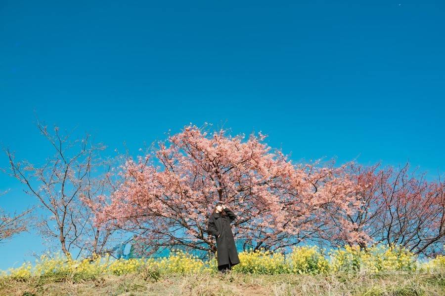 日系模特