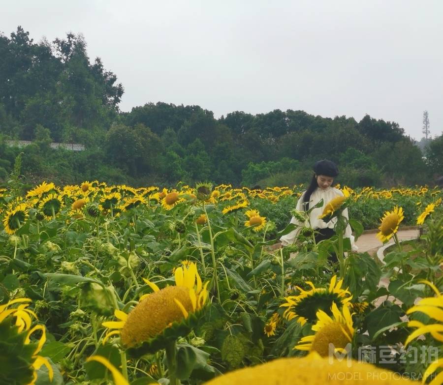 纪实模特