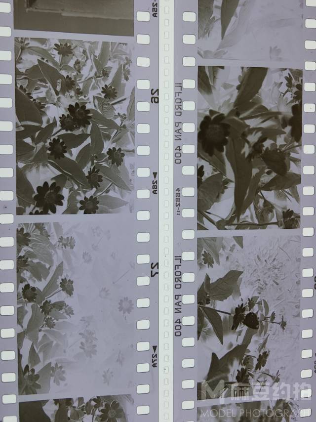 胶片模特
