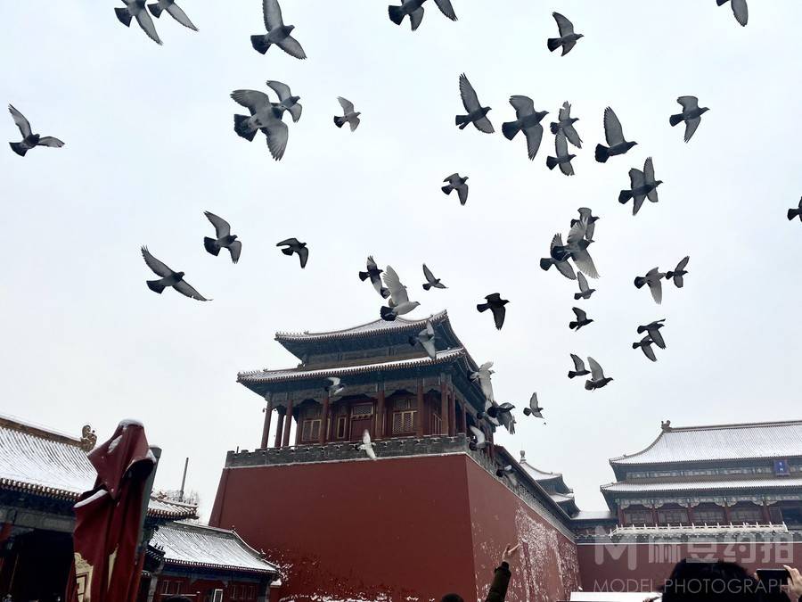 纪实模特