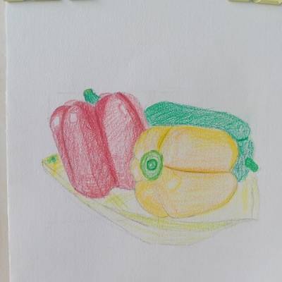 黑白模特