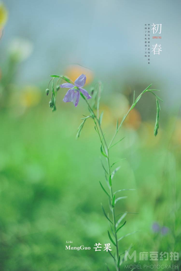 森系模特