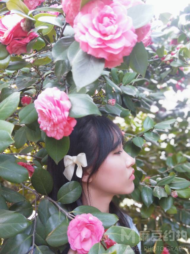 校园模特
