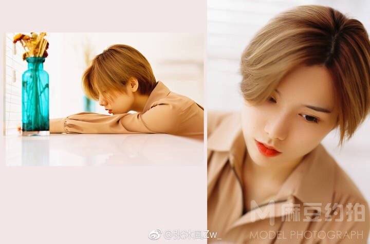 清新模特