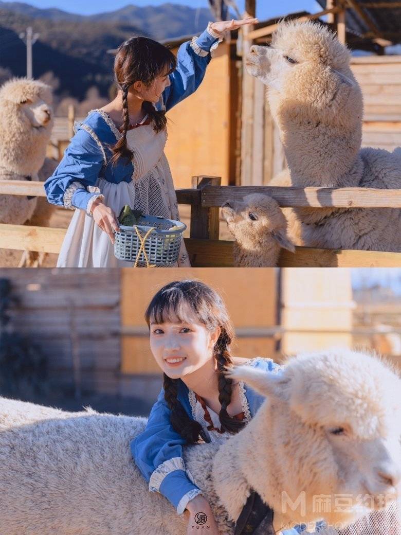 少女模特